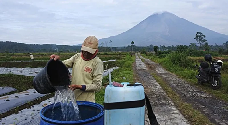 Disisi Kecemasan Akibat Aktivitas Gunung Semeru, Ada Dampak Positif Bagi Para Petani